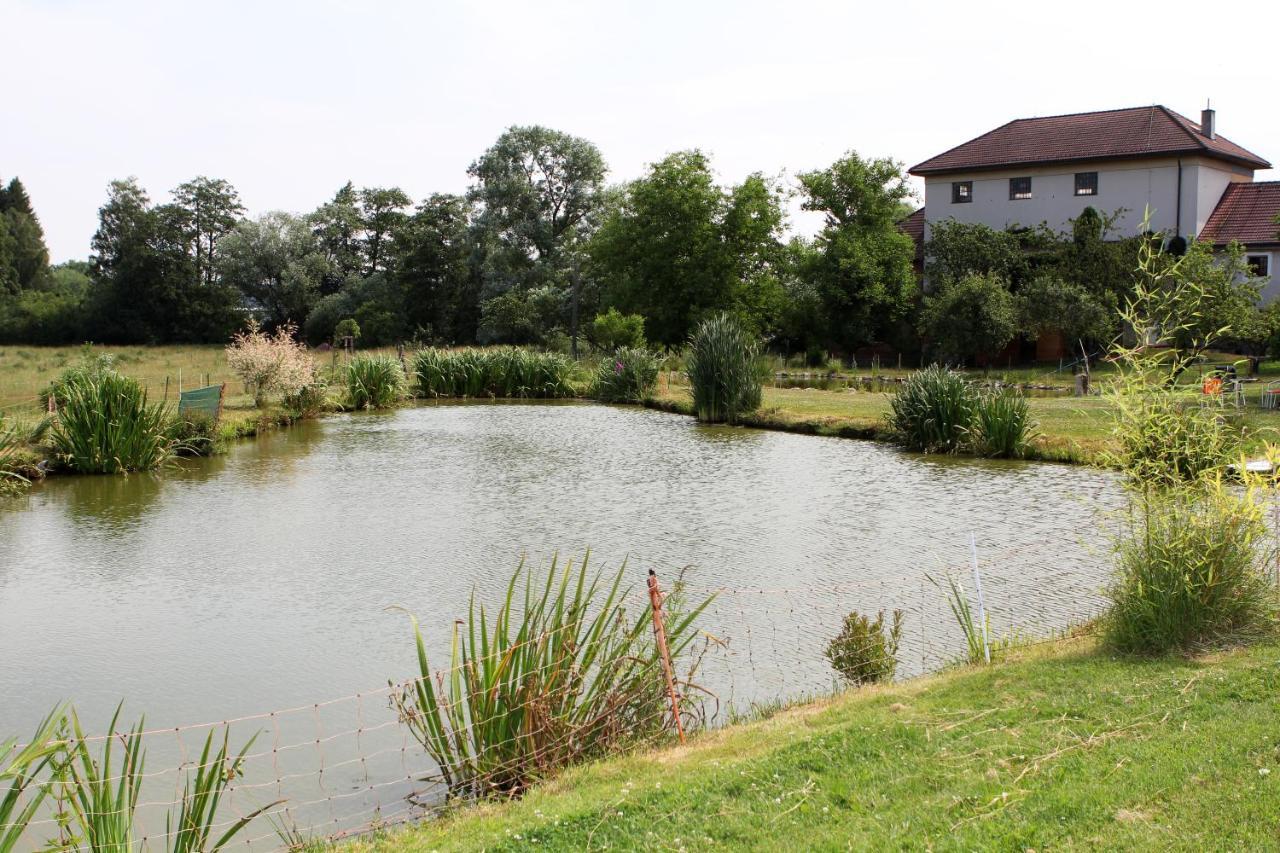 Apartament Mlyn-Osvracin Zewnętrze zdjęcie