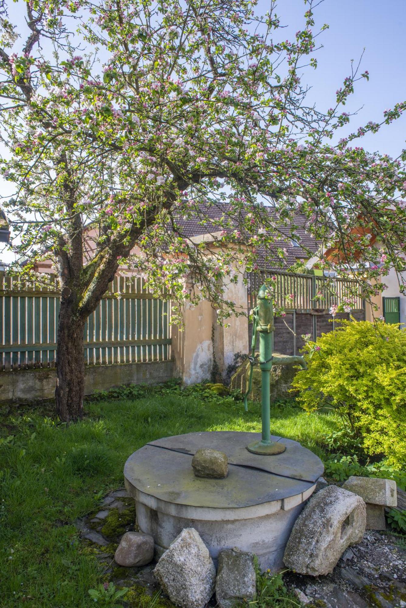 Apartament Mlyn-Osvracin Zewnętrze zdjęcie