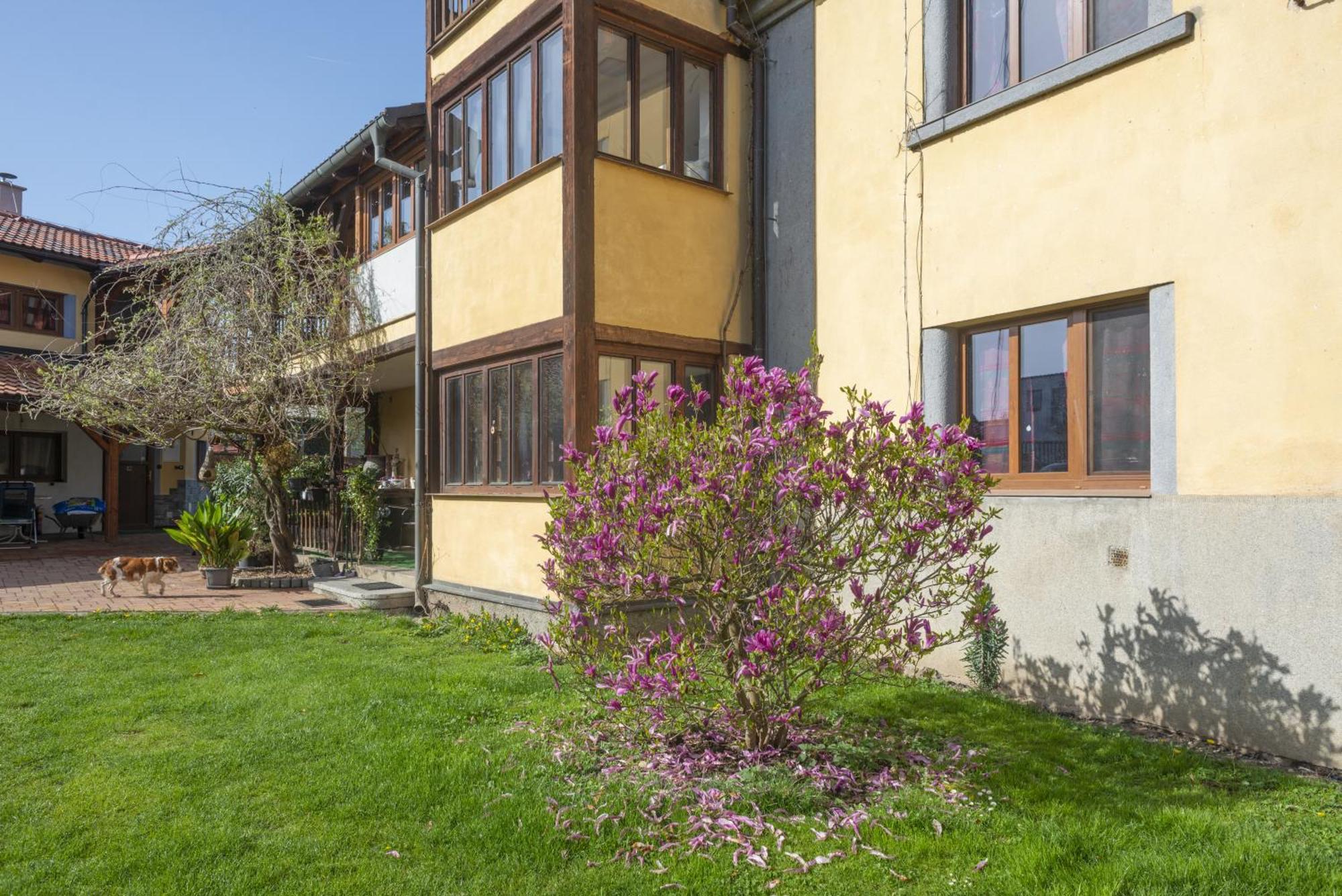 Apartament Mlyn-Osvracin Zewnętrze zdjęcie