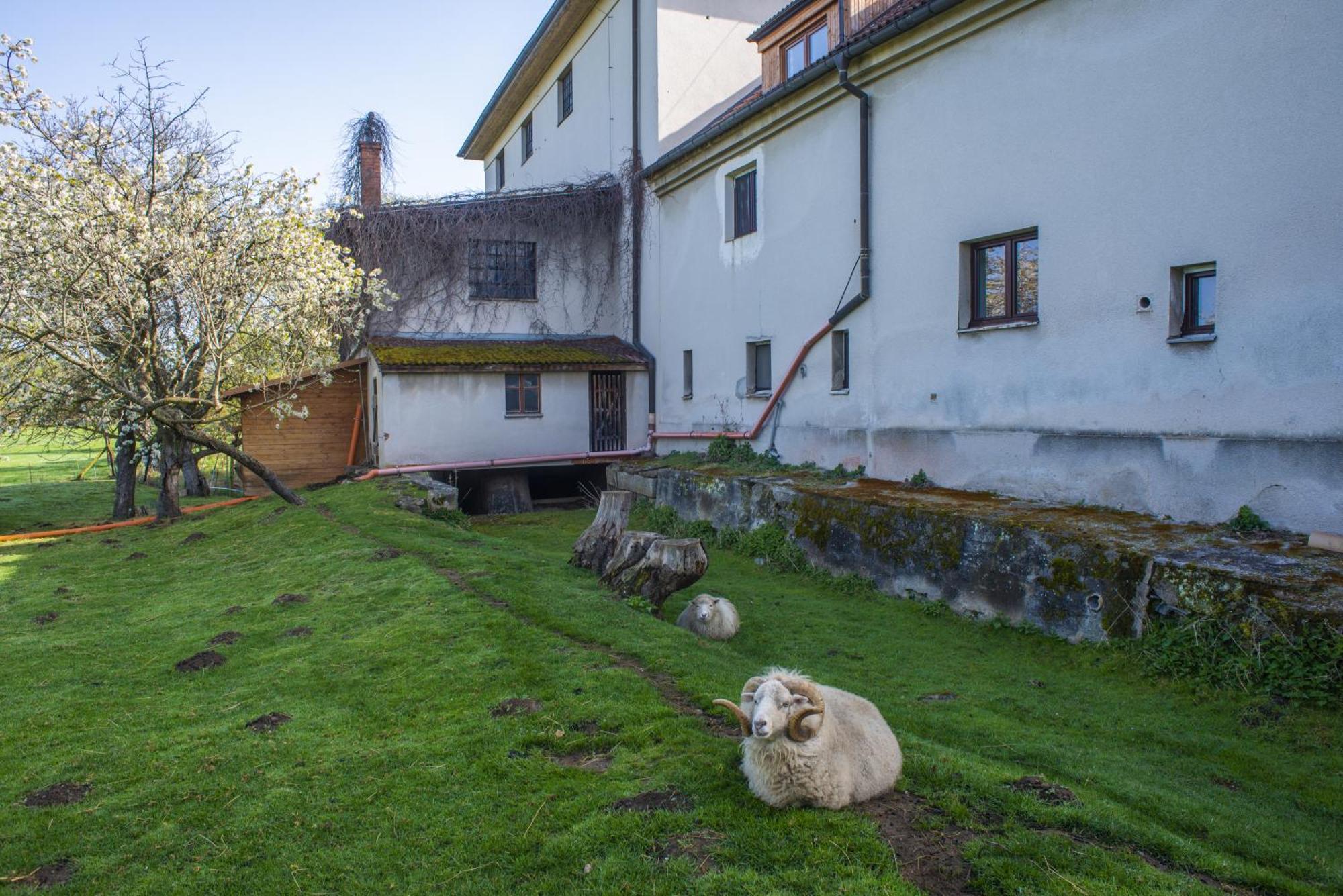 Apartament Mlyn-Osvracin Zewnętrze zdjęcie